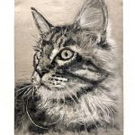 kattetegning_cat_drawing
