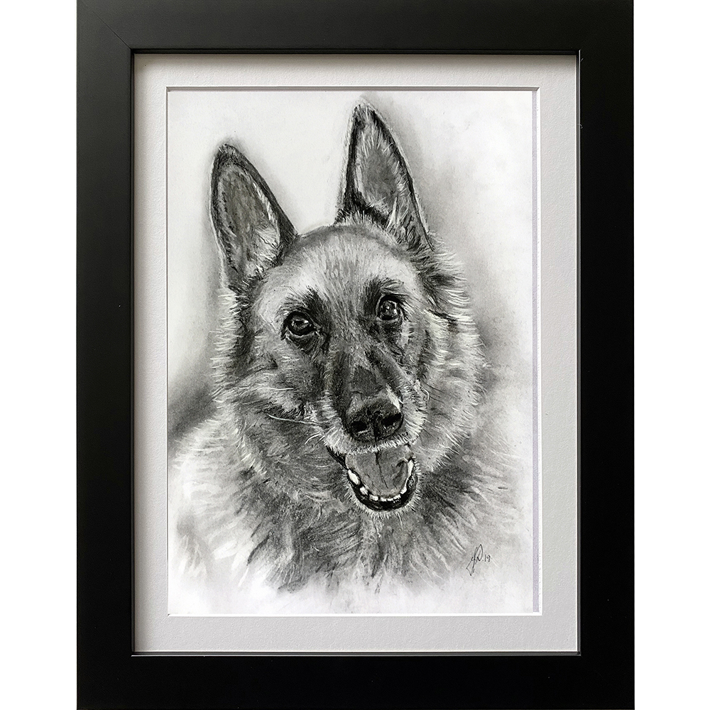 hundeportraet_portraettegning_julegaveide_unik_gave_schaefertegning_portraettegner_jannedamborg