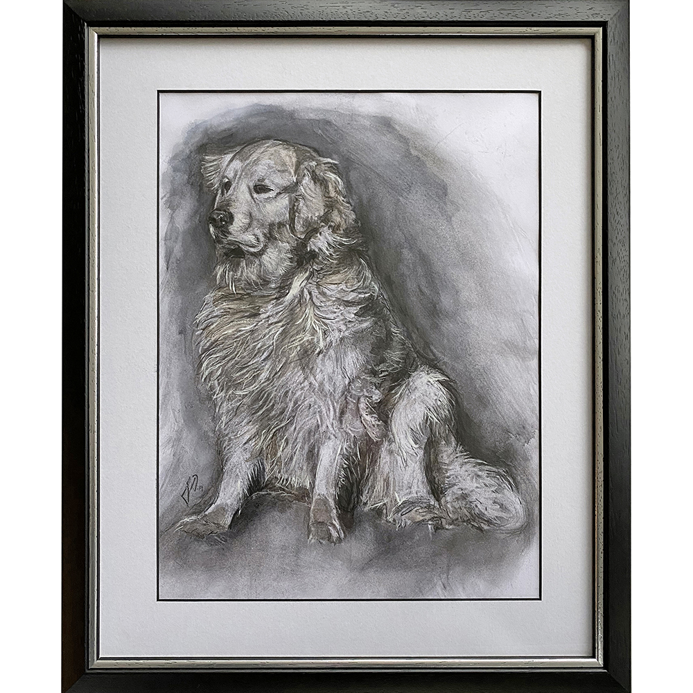 hundeportraet_portraettegning_unik_gaveide_dog_portrait_drawing_golden_retriever