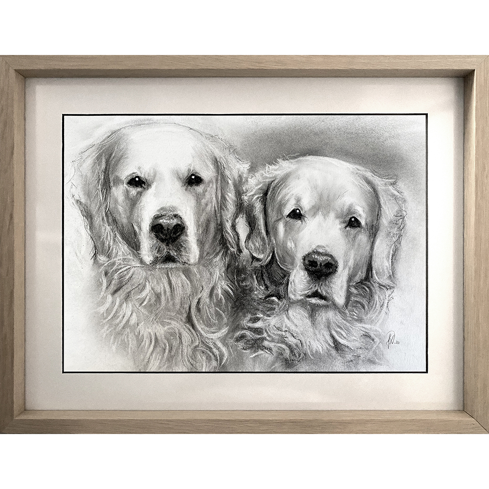 hundeportraet_hundetegning_haandtegnet_portraettegning_portraettegner