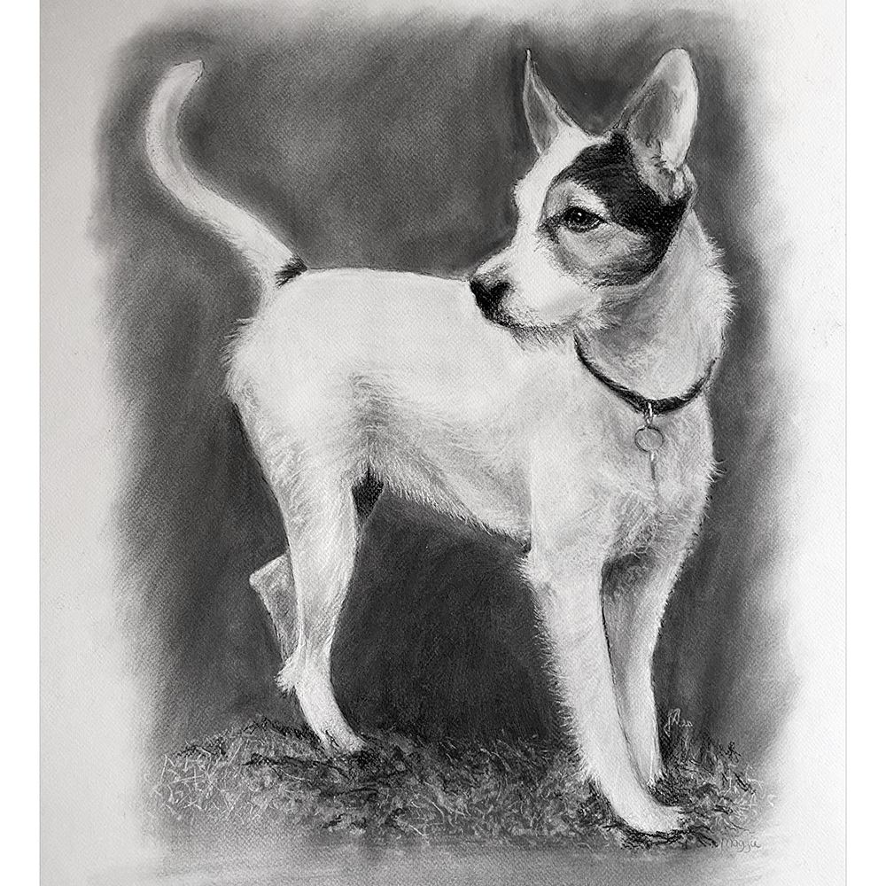 portraettegning-hundportraet-julegave-hundetegning-unik-gaveide