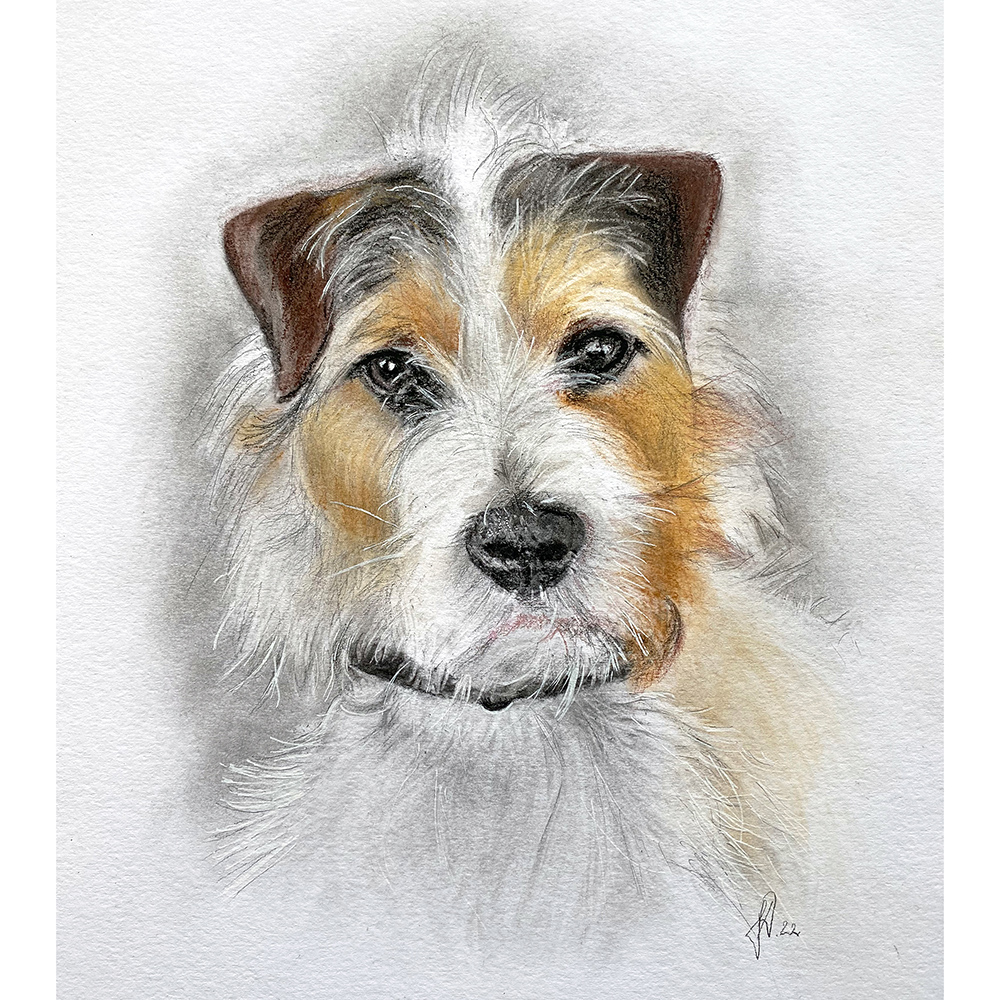 hundtegning-portraet-gaveide-hundeelsker-jaeger