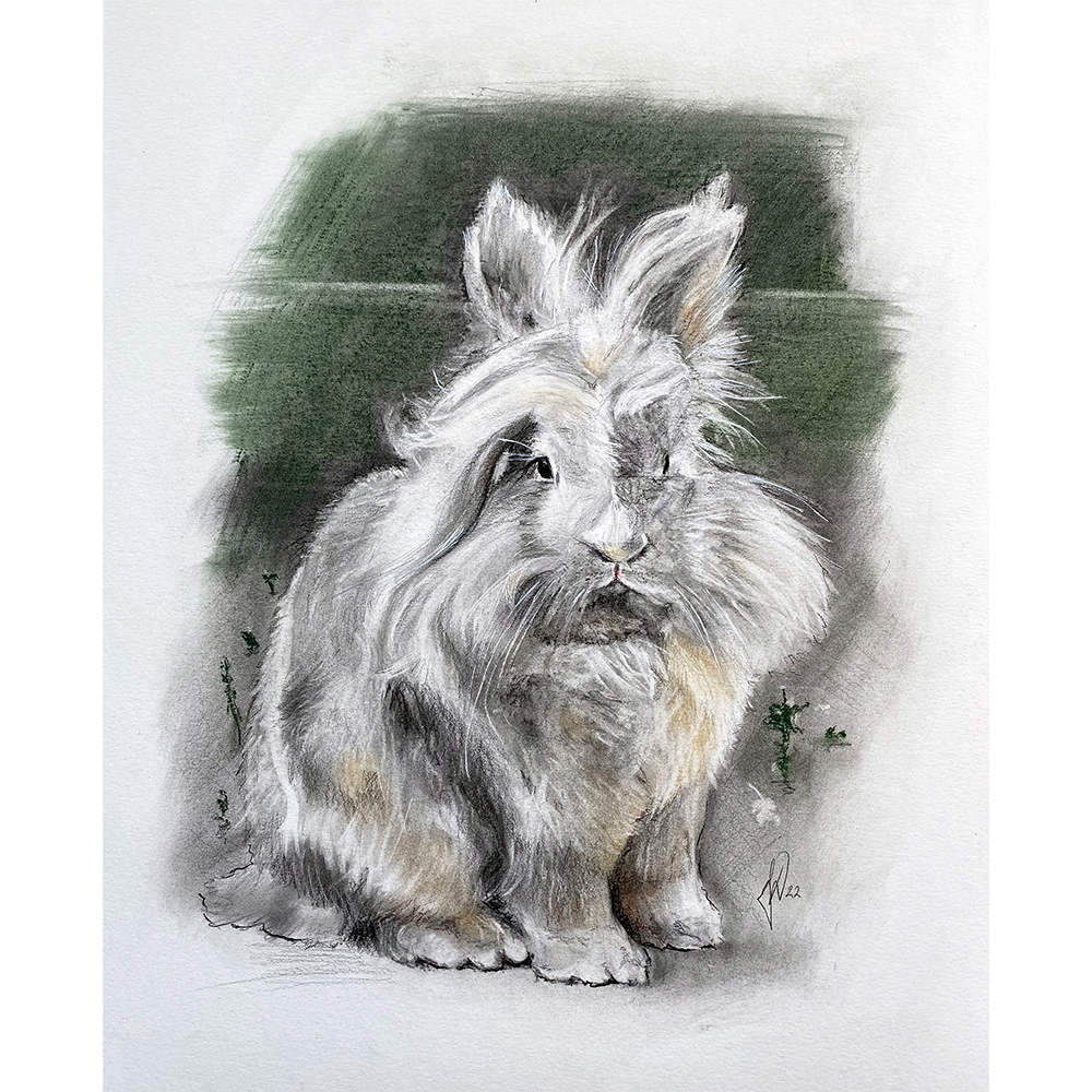 gaveide-dyreelsker-kaninportraet-tegning-portraettegning
